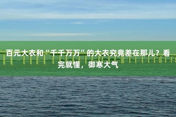 百元大衣和“千千万万”的大衣究竟差在那儿？看完就懂，御寒大气