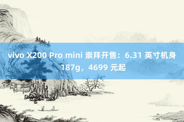 vivo X200 Pro mini 崇拜开售：6.31 英寸机身 187g，4699 元起